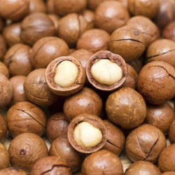 Comanda online nuci de macadamia